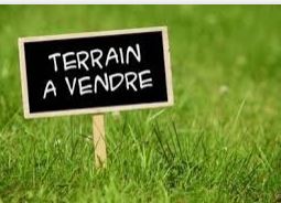 bien ann bbd